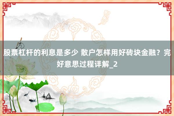 股票杠杆的利息是多少 散户怎样用好砖块金融？完好意思过程详解_2